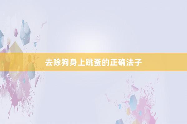去除狗身上跳蚤的正确法子
